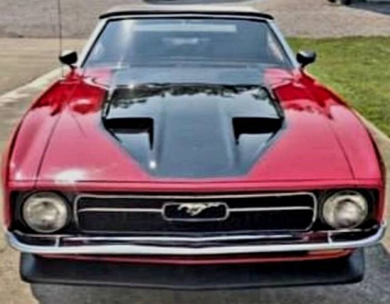 1971 Ford Mustang for sale in Michigan (ID-111649)