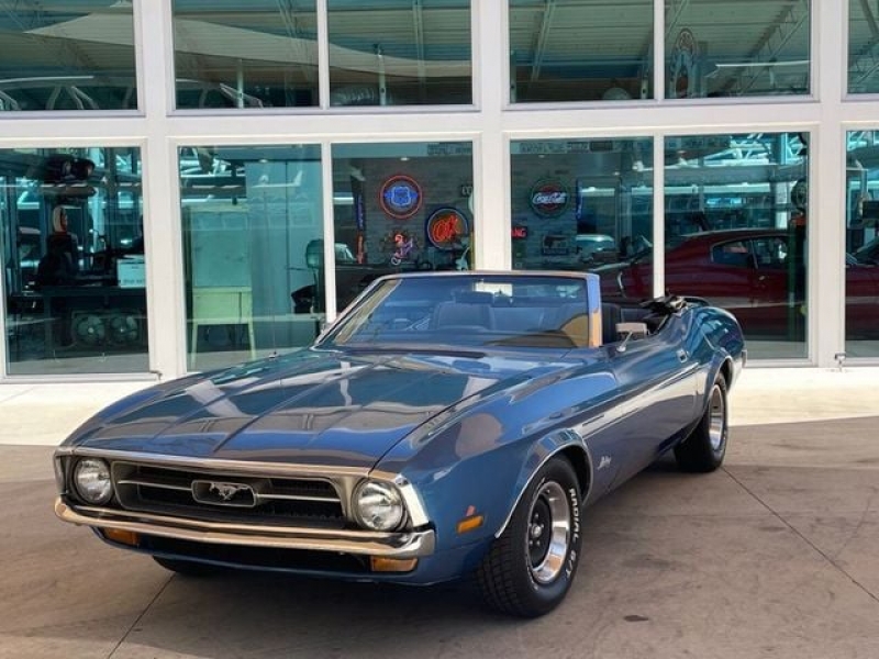 1971 Ford Mustang for sale in Riverhead, New York (ID-115629)