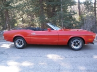 1971 Ford Mustang for sale in Michigan (ID-117448)