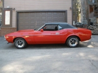1971 Ford Mustang for sale in Michigan (ID-117448)