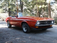 1971 Ford Mustang for sale in Michigan (ID-117448)