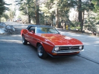 1971 Ford Mustang for sale in Michigan (ID-117448)