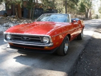 1971 Ford Mustang for sale in Michigan (ID-117448)