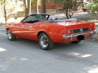 1971 Ford Mustang for sale in Michigan (ID-117448)