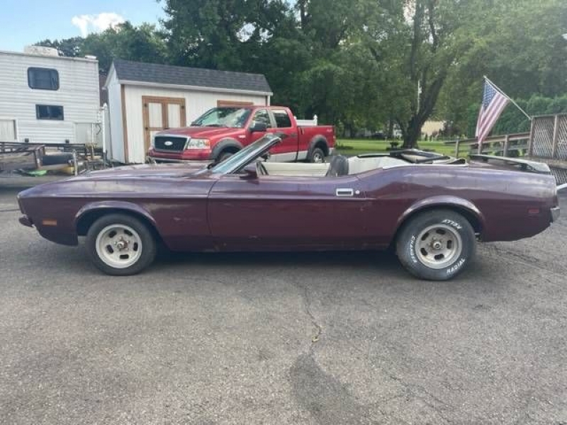 1971 Ford Mustang for sale in Michigan (ID-120770)