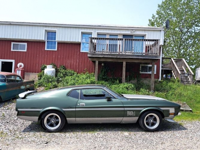 1971 Ford Mustang for sale in Michigan (ID-121155) 1971 Ford Mustang for sale in Michigan (ID-121155)