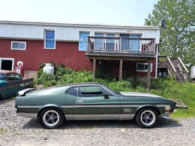 1971 Ford Mustang for sale