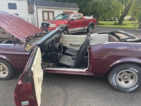 1971 Ford Mustang for sale in Michigan (ID-121249)