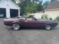 1971 Ford Mustang for sale in Michigan (ID-121249)