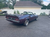 1971 Ford Mustang for sale in Michigan (ID-121249)