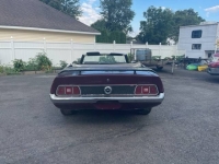 1971 Ford Mustang for sale in Michigan (ID-121249)