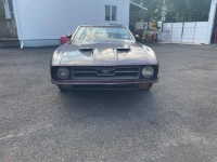 1971 Ford Mustang for sale in Michigan (ID-121249)