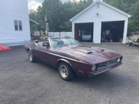 1971 Ford Mustang for sale in Michigan (ID-121249)