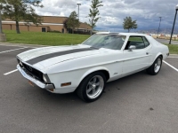 1971 Ford Mustang for sale in Michigan (ID-121528)