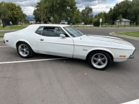 1971 Ford Mustang for sale in Michigan (ID-121528)