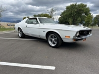1971 Ford Mustang for sale in Michigan (ID-121528)