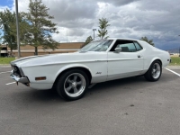 1971 Ford Mustang for sale in Michigan (ID-121528)