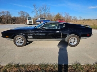 1971 Ford Mustang for sale in Michigan (ID-123055)