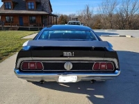1971 Ford Mustang for sale in Michigan (ID-123055)
