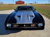 1971 Ford Mustang for sale in Michigan (ID-123055)
