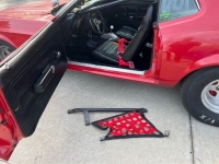 1971 Ford Mustang for sale in Michigan (ID-124055)