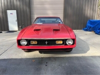 1971 Ford Mustang for sale in Michigan (ID-124055)