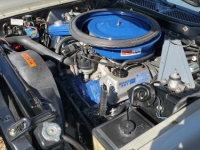 1971 Ford Mustang for sale in Michigan (ID-124469)