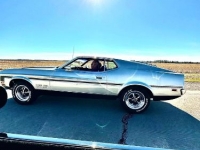 1971 Ford Mustang for sale in Michigan (ID-124469)