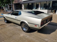 1971 Ford Mustang for sale in Michigan (ID-124469)