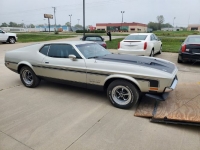 1971 Ford Mustang for sale in Michigan (ID-124469)