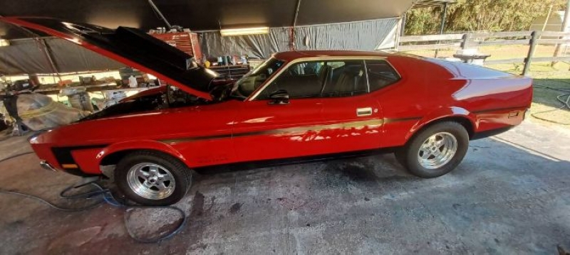 1971 Ford Mustang for sale in Michigan (ID-125499)