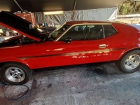1971 Ford Mustang for sale in Michigan (ID-125499)