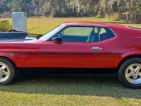 1971 Ford Mustang for sale in Michigan (ID-125499)
