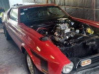 1971 Ford Mustang for sale in Michigan (ID-125499)