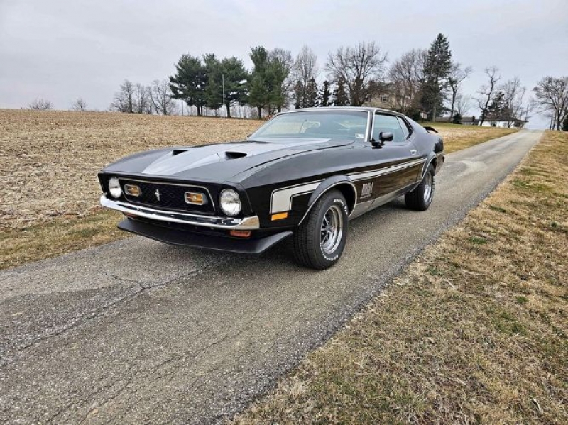 1971 Ford Mustang for sale in Michigan (ID-125532)