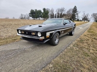 1971 Ford Mustang for sale in Michigan (ID-125532)