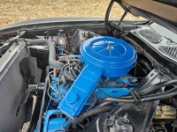 1971 Ford Mustang for sale in Michigan (ID-125532)