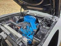 1971 Ford Mustang for sale in Michigan (ID-125532)