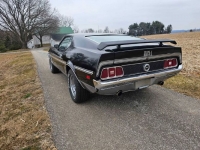 1971 Ford Mustang for sale in Michigan (ID-125532)