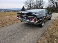 1971 Ford Mustang for sale in Michigan (ID-125532)
