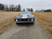 1971 Ford Mustang for sale in Michigan (ID-125532)