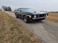 1971 Ford Mustang for sale in Michigan (ID-125532)