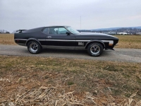 1971 Ford Mustang for sale in Michigan (ID-125532)