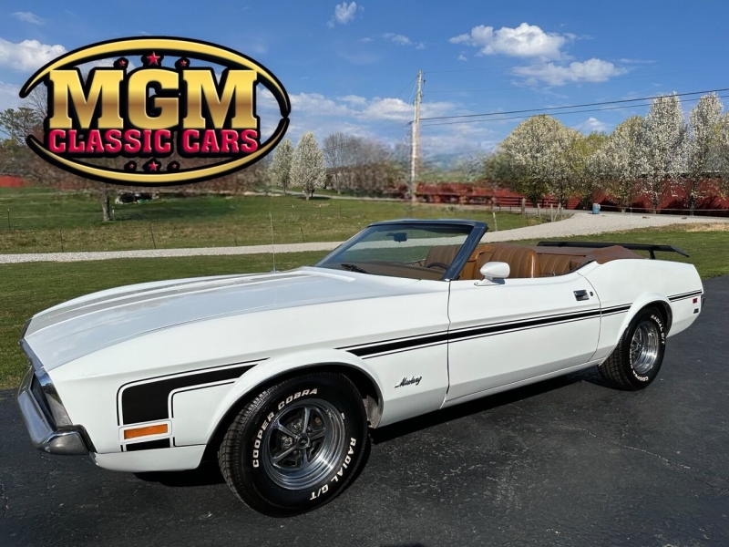 1971 Ford Mustang for sale in Addison, Illinois (ID-126994)