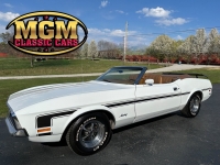 1971 Ford Mustang for sale in Addison, Illinois (ID-126994)