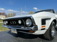 1971 Ford Mustang for sale in Addison, Illinois (ID-126994)