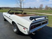 1971 Ford Mustang for sale in Addison, Illinois (ID-126994)