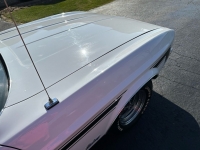 1971 Ford Mustang for sale in Addison, Illinois (ID-126994)