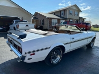 1971 Ford Mustang for sale in Addison, Illinois (ID-126994)