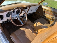 1971 Ford Mustang for sale in Addison, Illinois (ID-126994)